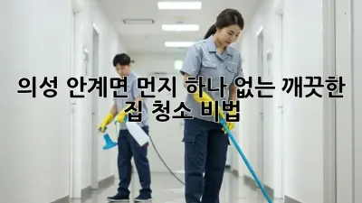 의성 안계면, 먼지 하나 없는 깨끗한 집 청소 비법!