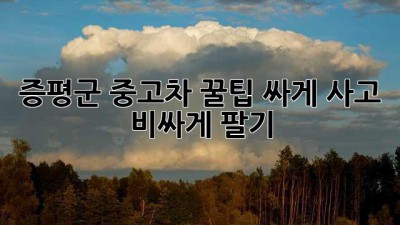 증평군 중고차 꿀팁🍯: 싸게 사고, 비싸게 팔기!
