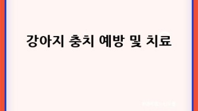 댕댕이 밝은 미소! 강아지 치아 관리 완벽 가이드