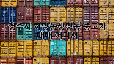 영주시 하망동/상망동 중고차 매매, 어디서?