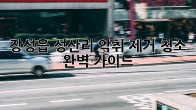 장성읍 성산리 악취 제거 청소 완벽 가이드